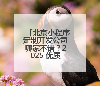 北京小程序定制开发公司哪家不错？2025 优质小程序开发公司之选