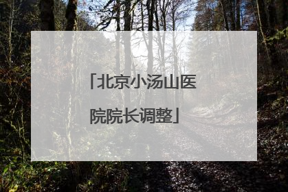 北京小汤山医院院长调整