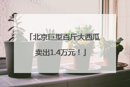 北京巨型百斤大西瓜卖出1.4万元！