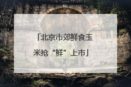 北京市郊鲜食玉米抢“鲜”上市