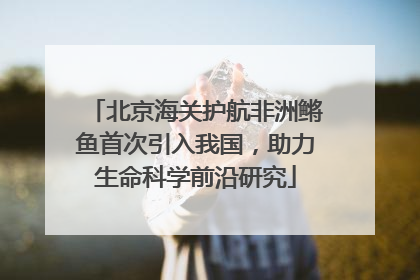 北京海关护航非洲鳉鱼首次引入我国，助力生命科学前沿研究
