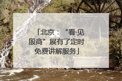 北京：“看·见殷商”展有了定时免费讲解服务