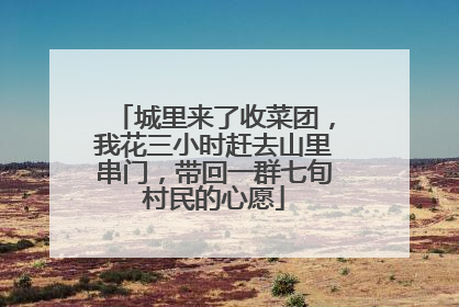 城里来了收菜团，我花三小时赶去山里串门，带回一群七旬村民的心愿