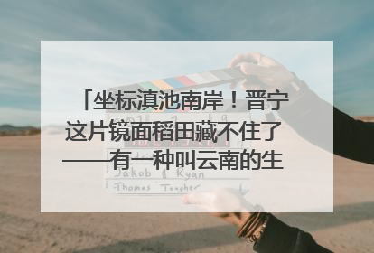 坐标滇池南岸！晋宁这片镜面稻田藏不住了——有一种叫云南的生活之365天