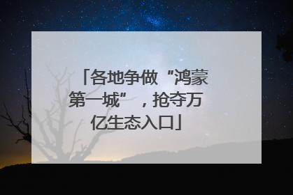 各地争做“鸿蒙第一城”，抢夺万亿生态入口