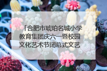合肥市琥珀名城小学教育集团庆六一暨校园文化艺术节闭幕式文艺汇演圆满举行