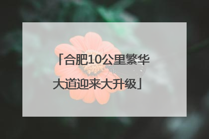 合肥10公里繁华大道迎来大升级