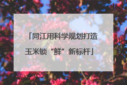 同江用科学规划打造玉米锁“鲜”新标杆