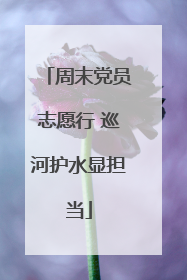 周末党员志愿行 巡河护水显担当