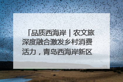 品质西海岸｜农文旅深度融合激发乡村消费活力，青岛西海岸新区的乡村振兴实践