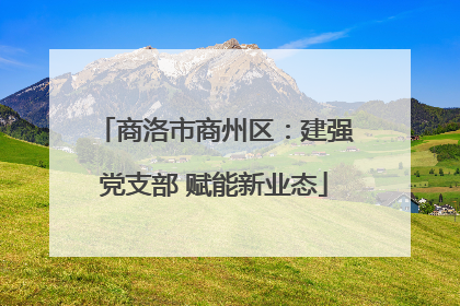 商洛市商州区：建强党支部 赋能新业态