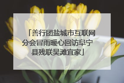 善行团盐城市互联网分会冒雨暖心回访阜宁县残联吴滩宜家