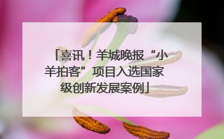 喜讯！羊城晚报“小羊拍客”项目入选国家级创新发展案例