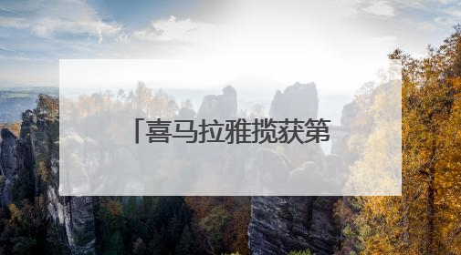 喜马拉雅揽获第十六届虎啸奖七项大奖，领航音频营销新生态