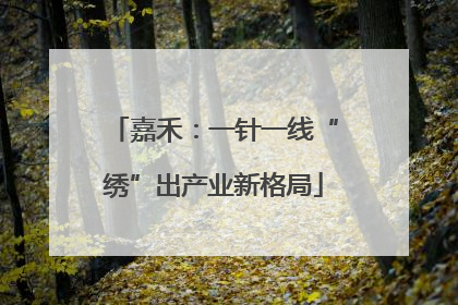 嘉禾：一针一线“绣”出产业新格局