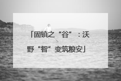 固镇之“谷”：沃野“智”变筑粮安