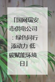 国网瑞安市供电公司：绿色同行添动力 低碳赋能环境日