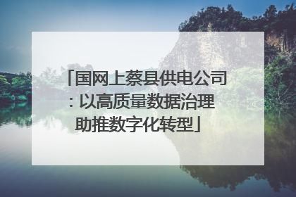 国网上蔡县供电公司：以高质量数据治理 助推数字化转型