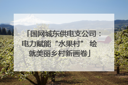 国网城东供电支公司：电力赋能“水果村” 绘就美丽乡村新画卷