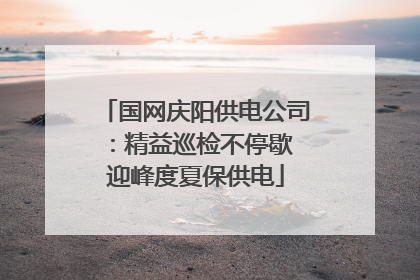 国网庆阳供电公司：精益巡检不停歇 迎峰度夏保供电