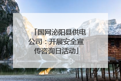 国网泌阳县供电公司：开展安全宣传咨询日活动