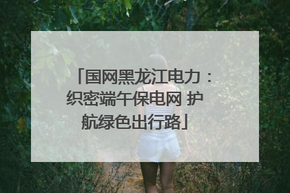 国网黑龙江电力：织密端午保电网 护航绿色出行路