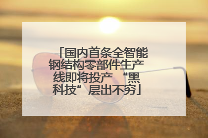 国内首条全智能钢结构零部件生产线即将投产 “黑科技”层出不穷
