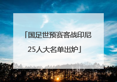 国足世预赛客战印尼25人大名单出炉