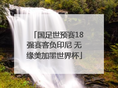 国足世预赛18强赛客负印尼 无缘美加墨世界杯