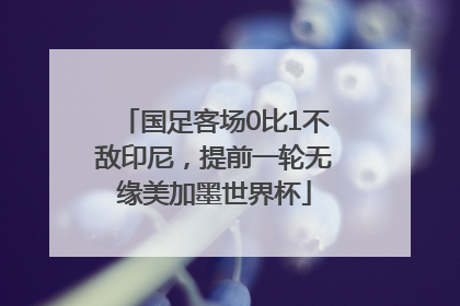 国足客场0比1不敌印尼，提前一轮无缘美加墨世界杯