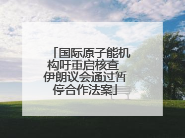 国际原子能机构吁重启核查 伊朗议会通过暂停合作法案