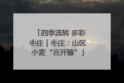 四季流转 多彩枣庄｜枣庄：山区小麦“喜开镰”