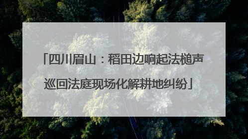 四川眉山：稻田边响起法槌声 巡回法庭现场化解耕地纠纷