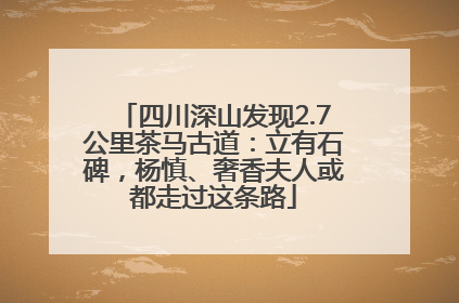 四川深山发现2.7公里茶马古道：立有石碑，杨慎、奢香夫人或都走过这条路
