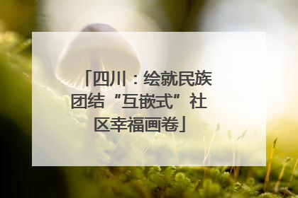 四川：绘就民族团结“互嵌式”社区幸福画卷