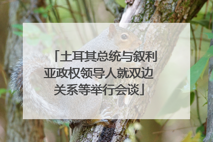土耳其总统与叙利亚政权领导人就双边关系等举行会谈
