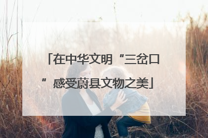 在中华文明“三岔口”感受蔚县文物之美