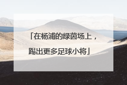 在杨浦的绿茵场上，踢出更多足球小将