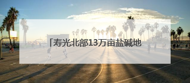 寿光北部13万亩盐碱地迈向高产田：八年改碱夺粮，盐碱滩拱起“金粮仓”