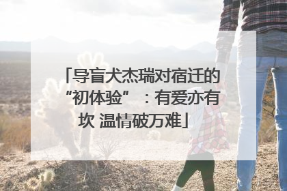导盲犬杰瑞对宿迁的“初体验”：有爱亦有坎 温情破万难
