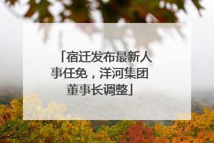 宿迁发布最新人事任免，洋河集团董事长调整