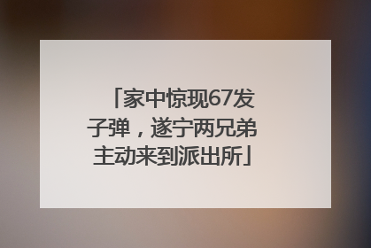家中惊现67发子弹，遂宁两兄弟主动来到派出所