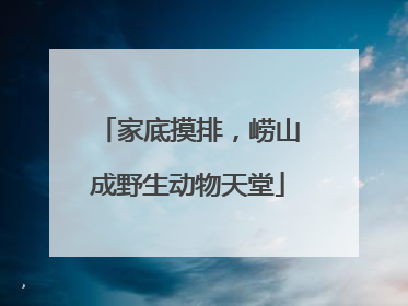 家底摸排，崂山成野生动物天堂