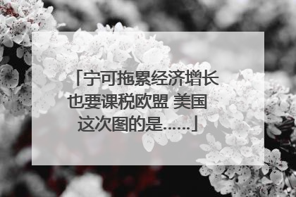 宁可拖累经济增长也要课税欧盟 美国这次图的是……