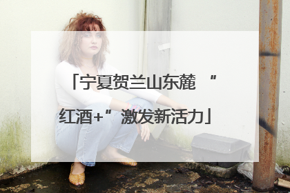 宁夏贺兰山东麓 “红酒+”激发新活力