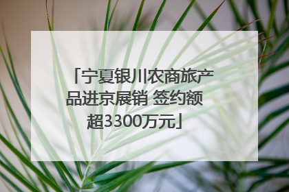 宁夏银川农商旅产品进京展销 签约额超3300万元