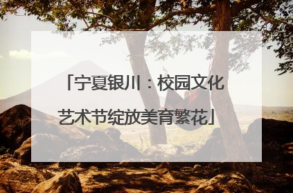 宁夏银川：校园文化艺术节绽放美育繁花