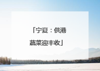 宁夏：供港蔬菜迎丰收
