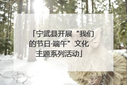 宁武县开展“我们的节日·端午”文化主题系列活动