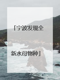 宁波发现全新水母物种